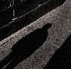 ShadowRage